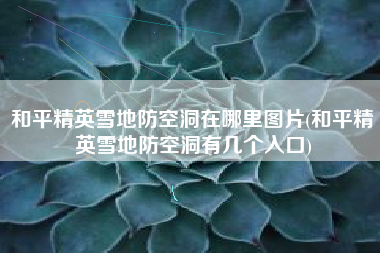 和平精英雪地防空洞在哪里图片(和平精英雪地防空洞有几个入口)