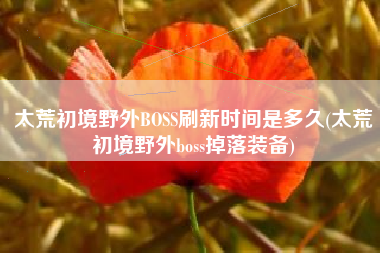 太荒初境野外BOSS刷新时间是多久(太荒初境野外boss掉落装备)