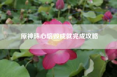 原神珠心熔毁成就完成攻略
