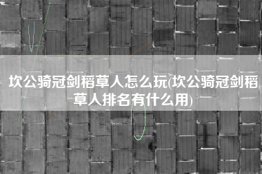 坎公骑冠剑稻草人怎么玩(坎公骑冠剑稻草人排名有什么用)