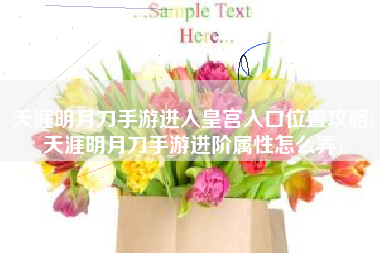 天涯明月刀手游进入皇宫入口位置攻略(天涯明月刀手游进阶属性怎么弄)