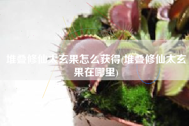 堆叠修仙太玄果怎么获得(堆叠修仙太玄果在哪里)