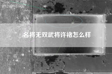 名将无双武将许褚怎么样