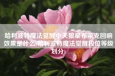 哈利波特魔法觉醒小天狼星布莱克回响效果是什么(哈利波特魔法觉醒段位等级划分)