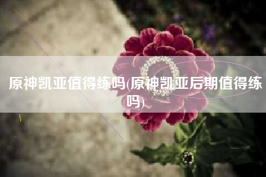 原神凯亚值得练吗(原神凯亚后期值得练吗)