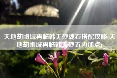 天地劫幽城再临韩无砂魂石搭配攻略(天地劫幽城再临韩无砂五内加点)