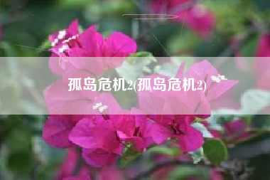 孤岛危机2(孤岛危机2)