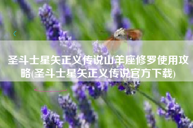 圣斗士星矢正义传说山羊座修罗使用攻略(圣斗士星矢正义传说官方下载)