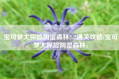 宝可梦大探险阴湿森林2-2通关攻略(宝可梦大探险阴湿森林)