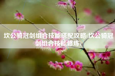 坎公骑冠剑组合技能搭配攻略(坎公骑冠剑组合技能修炼)
