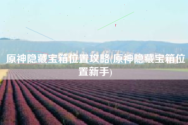 原神隐藏宝箱位置攻略(原神隐藏宝箱位置新手)