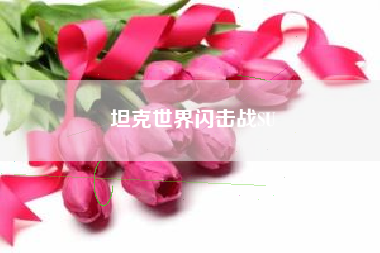 坦克世界闪击战SU