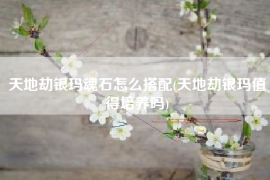 天地劫银玛魂石怎么搭配(天地劫银玛值得培养吗)