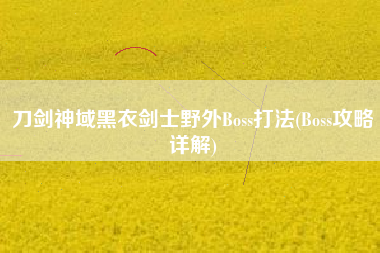 刀剑神域黑衣剑士野外Boss打法(Boss攻略详解)