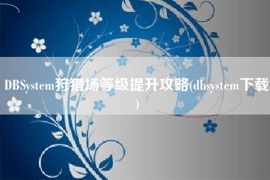 DBSystem狩猎场等级提升攻略(dbsystem下载)