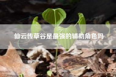 仙云传草谷是最强的辅助角色吗