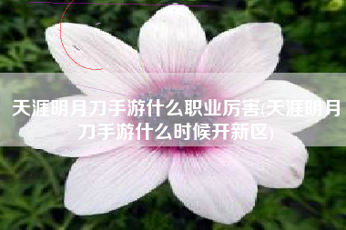 天涯明月刀手游什么职业厉害(天涯明月刀手游什么时候开新区)