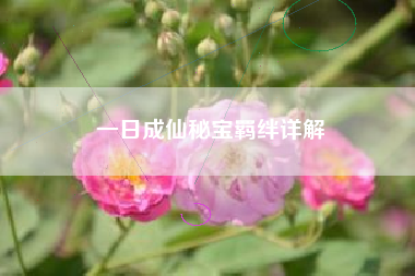 一日成仙秘宝羁绊详解