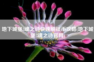 地下城堡3魂之诗快速刷银币攻略(地下城堡3魂之诗官网)