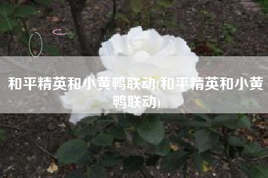 和平精英和小黄鸭联动(和平精英和小黄鸭联动)