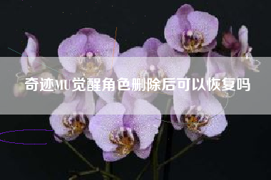 奇迹MU觉醒角色删除后可以恢复吗