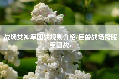 战场女神军团战规则介绍(巨兽战场跨服军团战)