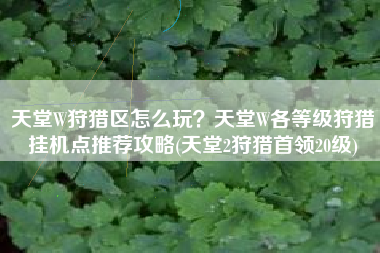 天堂W狩猎区怎么玩？天堂W各等级狩猎挂机点推荐攻略(天堂2狩猎首领20级)