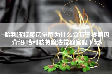 哈利波特魔法觉醒为什么会有黑雾原因介绍(哈利波特魔法觉醒官服下载)