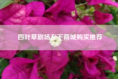 四叶草剧场左下商城购买推荐