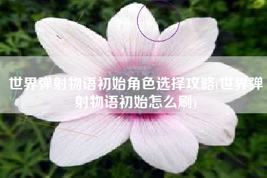 世界弹射物语初始角色选择攻略(世界弹射物语初始怎么刷)