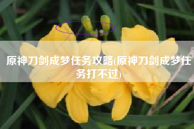 原神刀剑成梦任务攻略(原神刀剑成梦任务打不过)