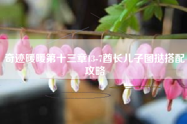 奇迹暖暖第十三章13-7酋长儿子图挞搭配攻略