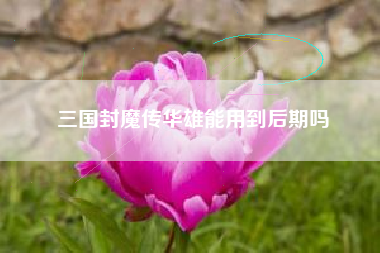 三国封魔传华雄能用到后期吗