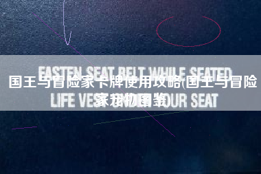 国王与冒险家卡牌使用攻略(国王与冒险家宠物图鉴)