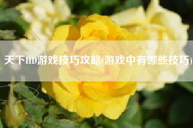 天下HD游戏技巧攻略(游戏中有哪些技巧)