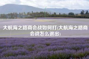 大航海之路商会战如何打(大航海之路商会战怎么退出)