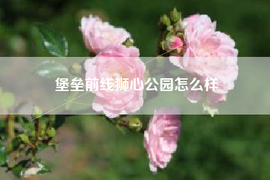 堡垒前线狮心公园怎么样