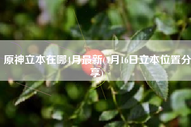 原神立本在哪4月最新(4月16日立本位置分享)