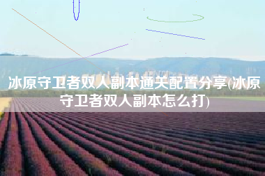 冰原守卫者双人副本通关配置分享(冰原守卫者双人副本怎么打)