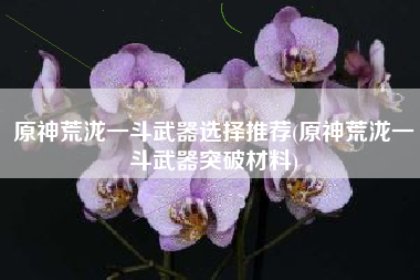 原神荒泷一斗武器选择推荐(原神荒泷一斗武器突破材料)