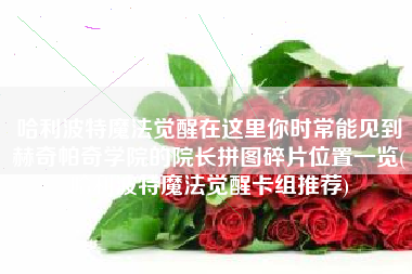 哈利波特魔法觉醒在这里你时常能见到赫奇帕奇学院的院长拼图碎片位置一览(哈利波特魔法觉醒卡组推荐)