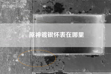原神镀银怀表在哪里