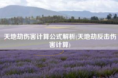 天地劫伤害计算公式解析(天地劫反击伤害计算)
