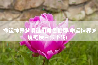 命运神界梦境链接角色推荐(命运神界梦境链接日服下载)_1