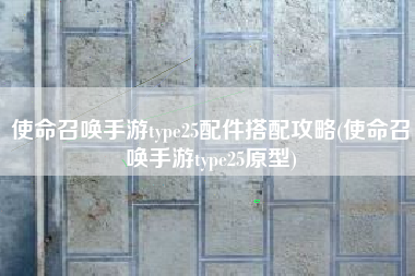使命召唤手游type25配件搭配攻略(使命召唤手游type25原型)