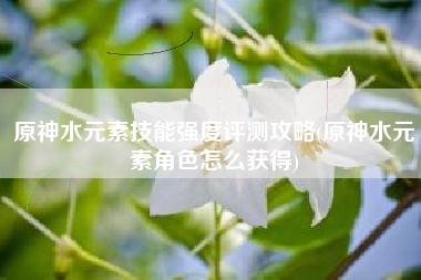 原神水元素技能强度评测攻略(原神水元素角色怎么获得)