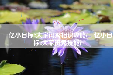 一亿小目标2大家闺秀相识攻略(一亿小目标2大家闺秀技能)