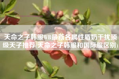 天命之子韩服WB最新各属性盾奶干扰顶级天子推荐(天命之子韩服和国际服区别)