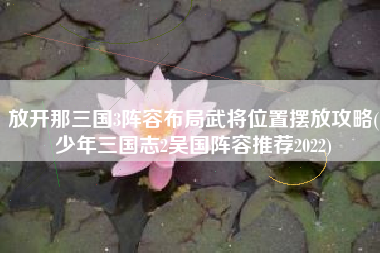 放开那三国3阵容布局武将位置摆放攻略(少年三国志2吴国阵容推荐2022)