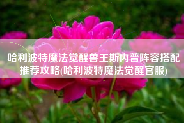 哈利波特魔法觉醒兽王斯内普阵容搭配推荐攻略(哈利波特魔法觉醒官服)